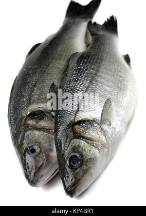 two fresh sea bass