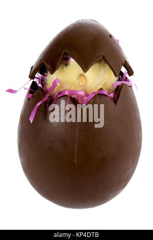 chocolate cracked egg with a bunny inside Stock Photo