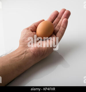 Close up of a Human Palm Holding  Brown Egg Isolated on White Background Shot in Studio. Stock Photo
