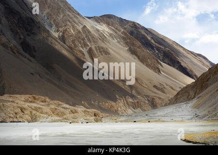 Herd of yaks grazing in the valley with white sand in the himalayan mountains, Ladakh, Jammu and Kashmir, India. Stock Photo