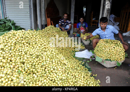 NARSINGDI, BANGLADESH - JUNE 10, 2016: Bangladeshi farmers sell Burmese grape at a market in Narsingdi, near Dhaka. Burmese grape or Lotkon in Bangla  Stock Photo