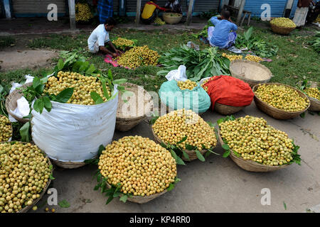 NARSINGDI, BANGLADESH - JUNE 10, 2016: Bangladeshi farmers sell Burmese grape at a market in Narsingdi, near Dhaka. Burmese grape or Lotkon in Bangla  Stock Photo