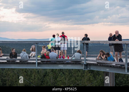 LIPNO, CZECH REPUBLIC - 18 July 2017. A group of people are at the top of the observation tower and watch the surroundings. Treetop Walkway in Lipno. Stock Photo