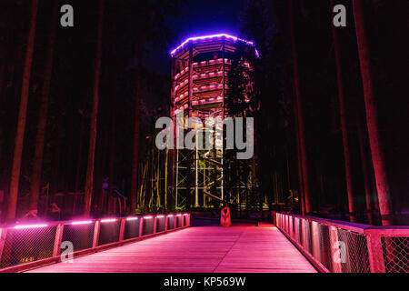 Treetop Walkway in Lipno, Sightseeing trail in tree crowns. Wooden construction with a slide for children in the middle. Touristic place and unique co Stock Photo