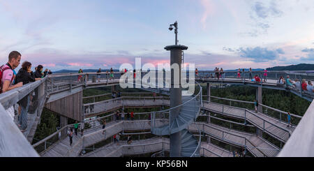 LIPNO, CZECH REPUBLIC - 18 July 2017. A group of people are at the top of the observation tower and watch the surroundings. Treetop Walkway in Lipno. Stock Photo