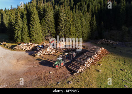 aerial view of wood mining in Dolomites. Loading timber on truck. Stock Photo