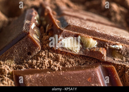 Several pieces of chocolate with hazelnut Stock Photo