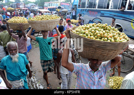 NARSINGDI, BANGLADESH - JUNE 10, 2016: Bangladeshi farmers carry Burmese grape at a market in Narsingdi, near Dhaka. Burmese grape or Lotkon in Bangla Stock Photo