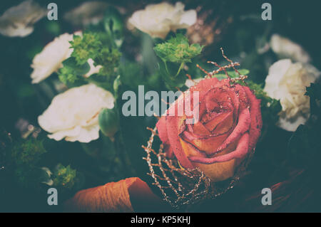 Dry red rose background vintage Stock Photo
