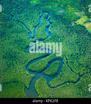 Aerial view of meanders and river capture features in mangrove forest ...