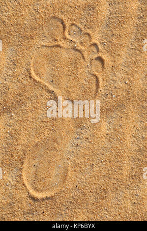 Footprint in the desert, Assiout province. Egypt. Stock Photo