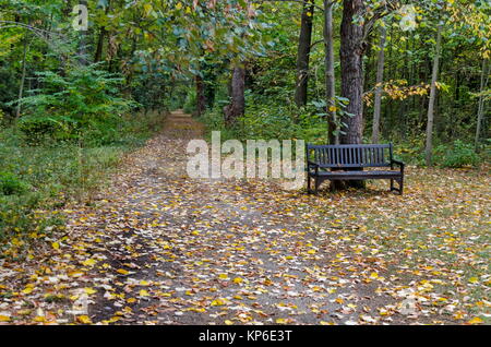 View toward forest, glade and wooden bench in National monument of landscape architecture Park museum Vrana in former time royal palace, Sofia Stock Photo