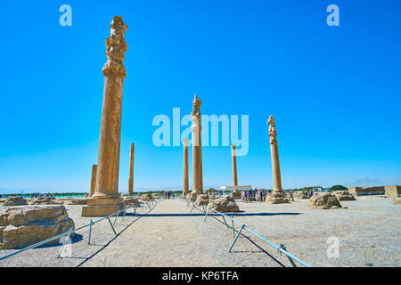 The preserved stone columns of Apadana palace, Audience Hall of ancient ceremonial capital of Persian Empire, Persepolis, Iran. Stock Photo