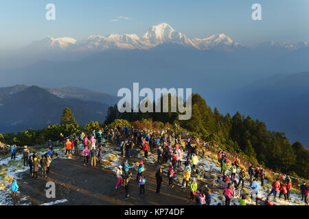 Crowd of tourists enjoying the early morning view on Poon Hill, Annapurna region, Nepal. Stock Photo