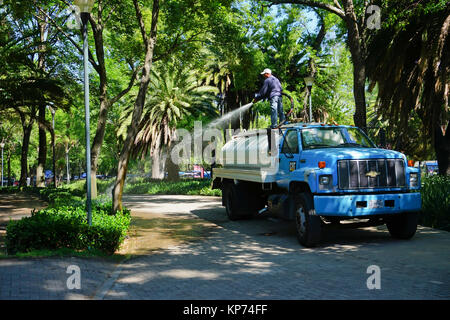 Watering truck, Chapultepec Park, Mexico City, Mexico Stock Photo