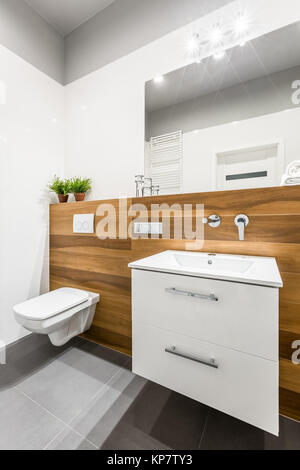 Ceramic sink and toilet in modern white and wooden bathroom Stock Photo