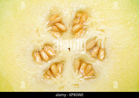 close up of ripe cantaloupe melon with seeds Stock Photo