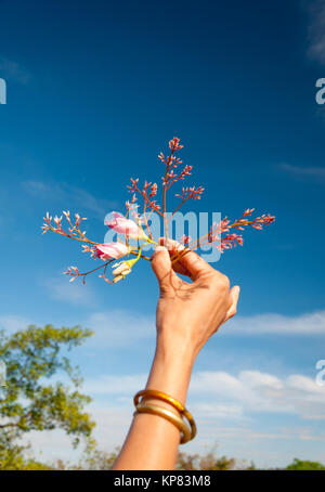 Beauty Pink flowers in hand of women Stock Photo