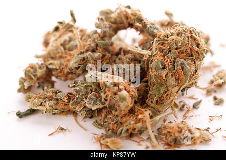 Cannabis marihuana blüten in kleinem Beutel Drogen Nahaufnahme Stock Photo