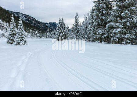 cross-country skiing in the karwendel Stock Photo