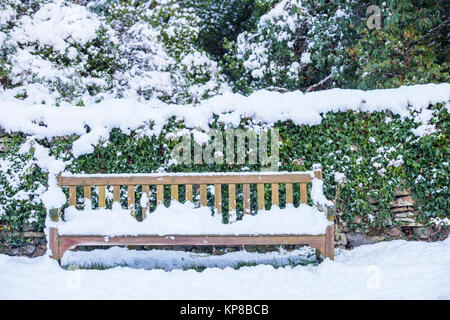 Garden bench in a snow covered garden. Stock Photo