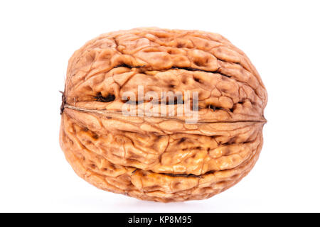 single walnut isolated on white background Stock Photo