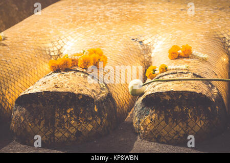 temple wat intharawihan in front of big standing buddha foot Stock Photo