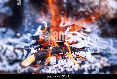 Bonfire Stock Photo