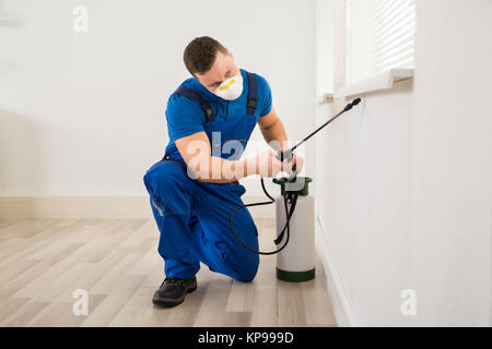 Worker Spraying Pesticide On Window Corner Stock Photo