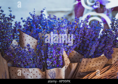 Dried bunches of lavender hanging on string. Stock Photo