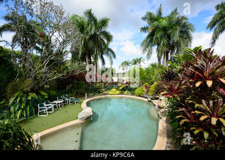 Swimming pool surrounded by lush tropical vegetation in the Wet Tropics, Cairns, Far North Queensland, FNQ, QLD, Australia Stock Photo
