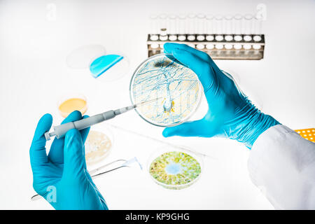 Neurone in a petri dish illustrating research into Alzheimer's and other brain disorders. Stock Photo