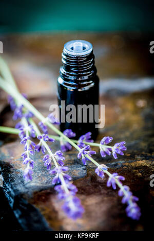 Essential oil of lavender. Stock Photo