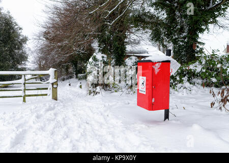 Red dog-waste bin covered in snow with trees in the background Stock Photo