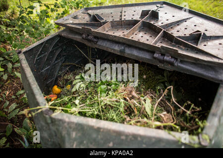 Plastic composter in a garden - filled with decaying organic material to be used as a fertilizer for growing home-grown, organic vegetables (shallow DOF) Stock Photo