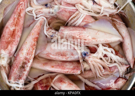 Freshly caught cuttlefish in Saigon, Vietnam Stock Photo