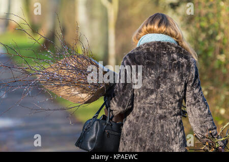 A woman walking in Winter carrying a bunch of twigs. Stock Photo