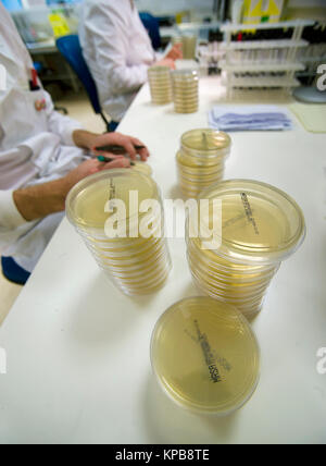 Pathology laboratory Stock Photo