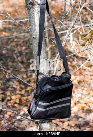 In woods on fallen leaves is a case for binoculars and binoculars. Stock Photo