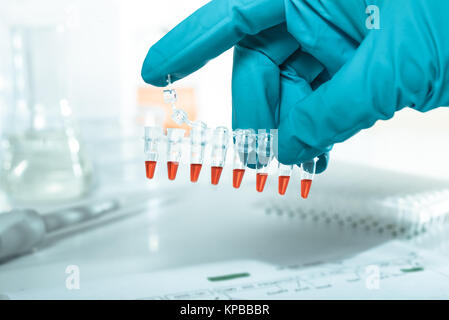 Plastic tubes with red samples for PCR reaction to analyse DNA Stock Photo