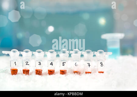 PCR stripe with samples on ice, text space Stock Photo