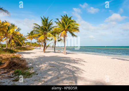 White sand Smathers Beach with palm trees, Key West, Florida Stock Photo