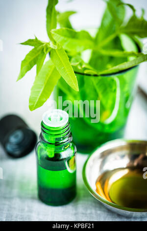 Lemon Verbena Essential Oil — Griffin Remedy