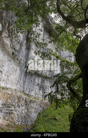 Close-up of the cliff-face of Malham Cove, , North Yorkshire, England, UK: a rock-climber is visible just below the overhang Stock Photo