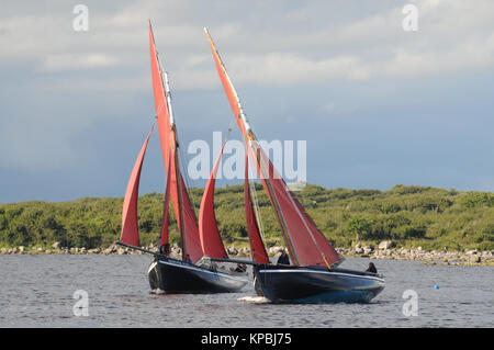 Two Galway Hookers - traditional Irish boats, racing in Galway Bay during a regatta. Stock Photo