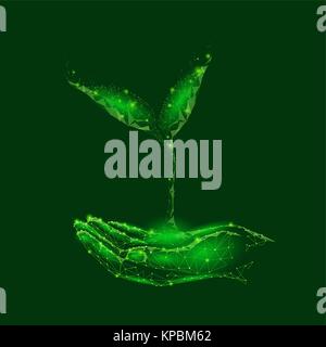 Low poly sprout plant in hand. Save ecology nature world concept. Low poly polygonal triangle particle point line. Green leaves glow help donation charity vector illustration Stock Vector