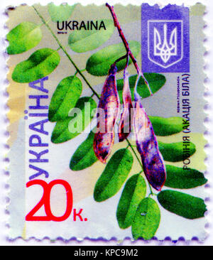 A series of 'Flora of Ukraine”. Postage stamp shows the image of Robinia pseudoacacia, commonly known in its native territory as black locust. Ukraine, 2016 Stock Photo