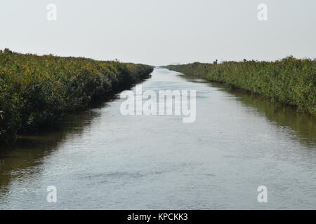 The main irrigation rice fields Stock Photo