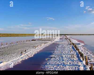 landscape with salty sea in Sivash Stock Photo