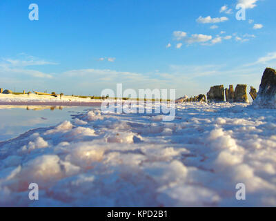 salt in the salty sea in Sivash Stock Photo